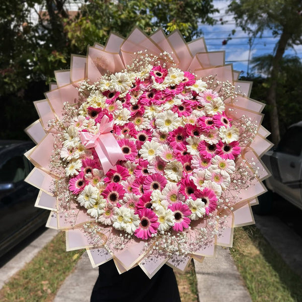 buchon de 70 gerberas mix